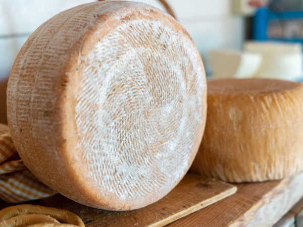 Pecorino