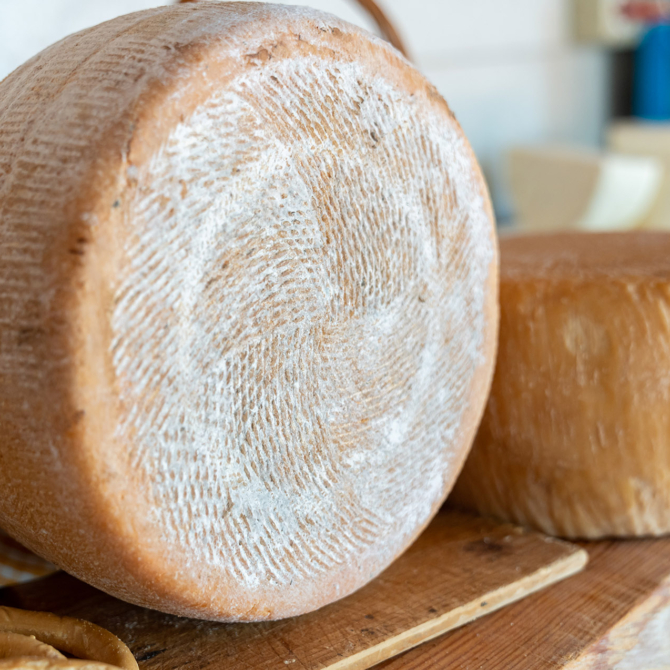 Pecorino